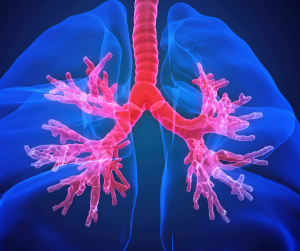 Events from February 21 – September 13 – Gloucestershire Primary Care ...